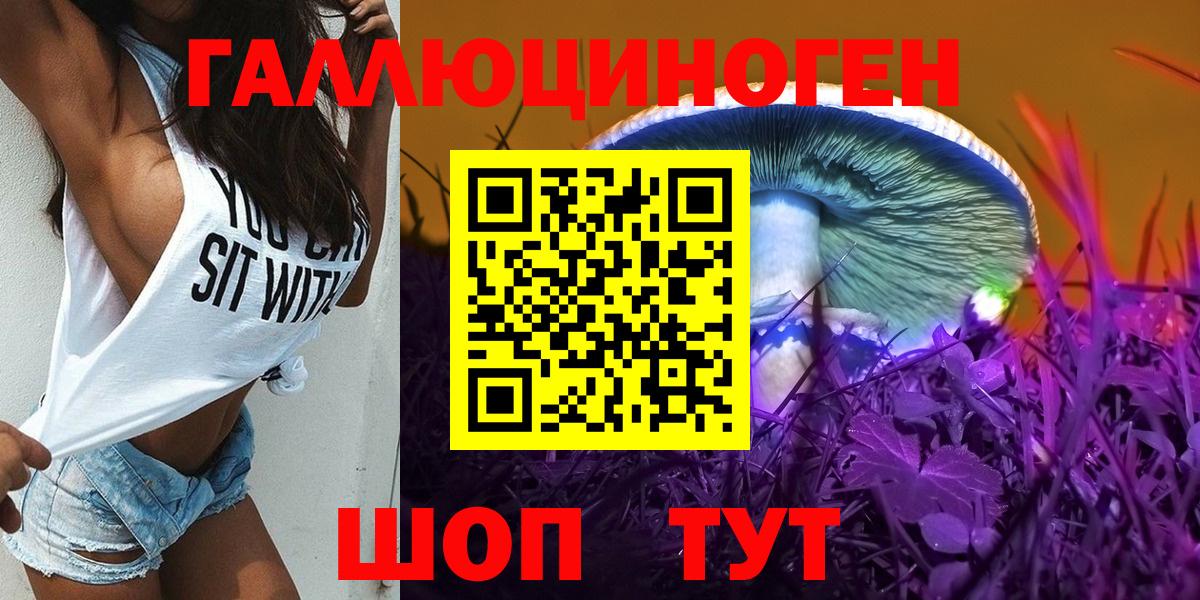 Псилоцибиновые грибы Psilocybine cubensis Красногорск